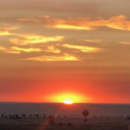 Victoria Regia By Ferias Em Figueira